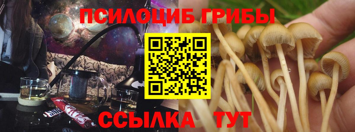 Псилоцибиновые грибы прущие грибы Снежинск